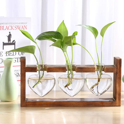 Glass Vase Tabletop Terrarium Hydroponics Plant Vases