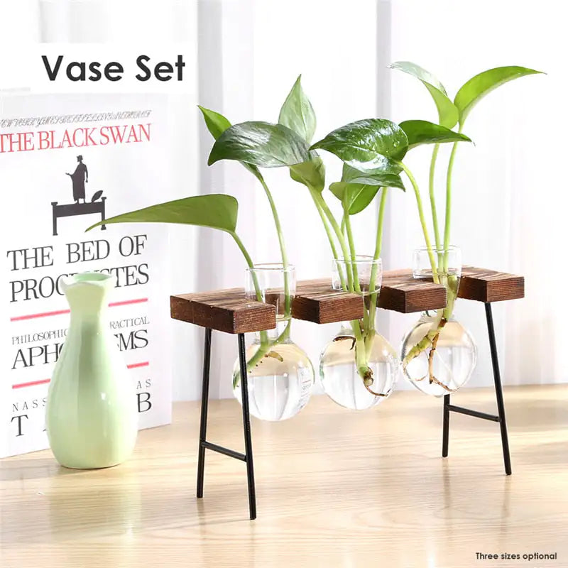 Glass Vase Tabletop Terrarium Hydroponics Plant Vases